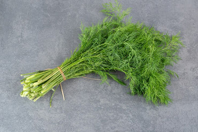 Dill Oil ( 1 L )