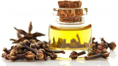 Cloves Oil ( 1 L )